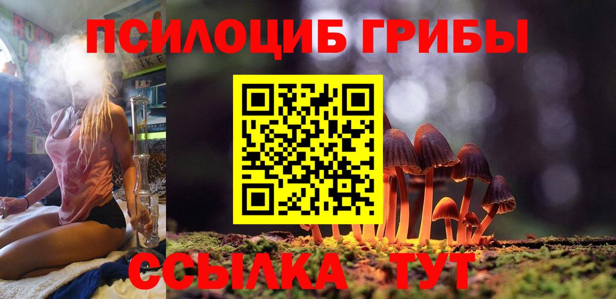 Галлюциногенные грибы прущие грибы Александров